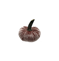 Custom Mini Pumpkins with Natural Stems